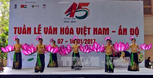  Khai mạc Tuần văn hóa Việt Nam - Ấn Độ ảnh 1